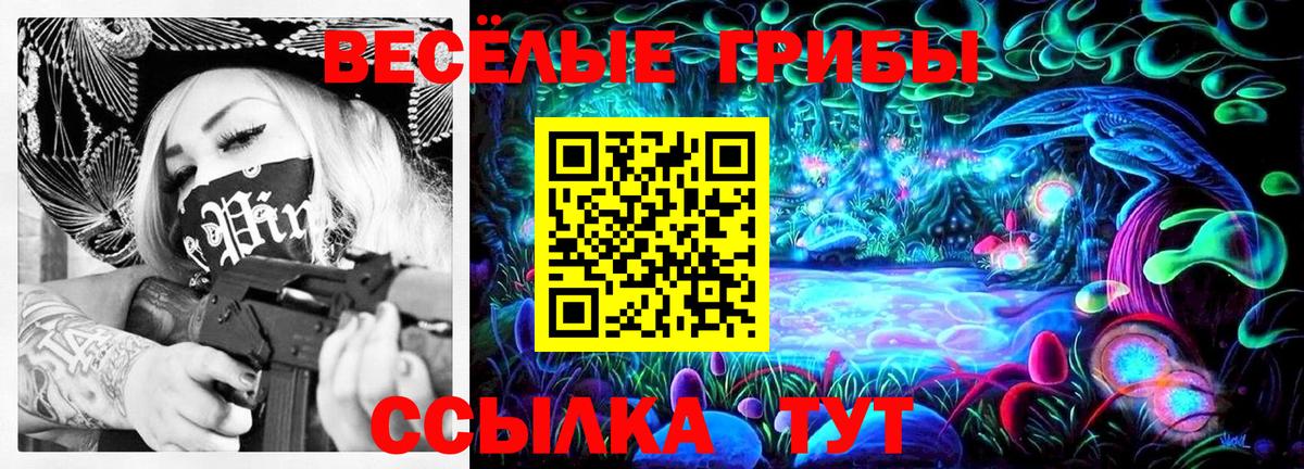 Псилоцибиновые грибы GOLDEN TEACHER  Галлюциногенные грибы Psilocybine cubensis  Клин  Вход с VPN 